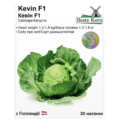 Капуста Kevin F1 20 шт 10598 Beste Kern