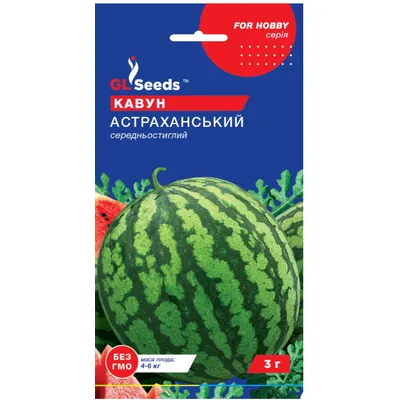 Кавун Астраханський 2 г 3104 GL SEEDS