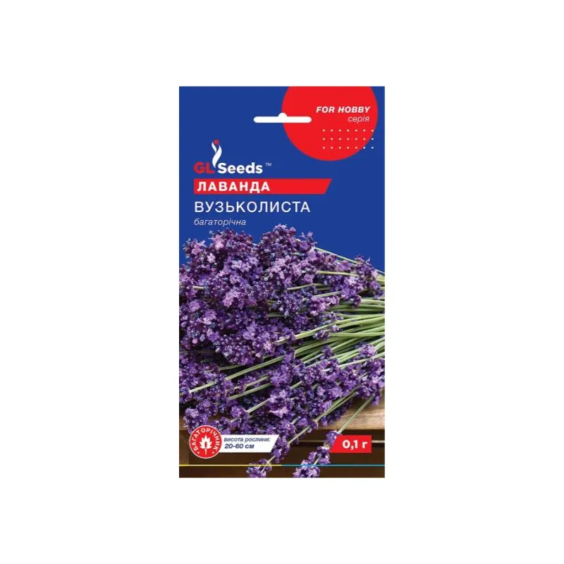 Лаванда  вузьколиста  0,1 гр 5442 GL SEEDS 