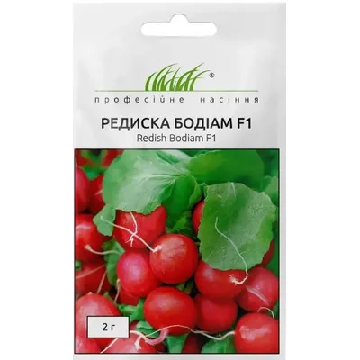 Проф насіння Редиска Бодіам 2 г 100106