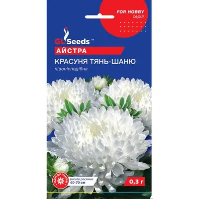 Айстра Красуня Тянь-Шаню  0,3 г 17814 GL SEEDS