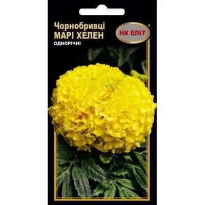 Чорнобривці Марі Хелен  0,5 г 14727 НК Еліт