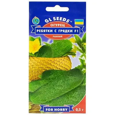 Огірок Хлоп'ятка з  грядки  F1  0,5 г 5192 GL SEEDS