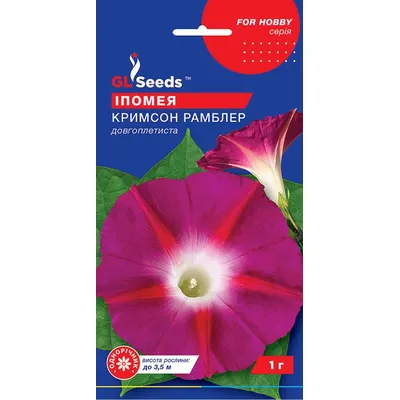 Іпомея Кримсон Рамблер  1гр 95183 GL SEEDS