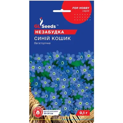 Незабудка Синій кошик 0,1 г багаторічна 10930 GL SEEDS