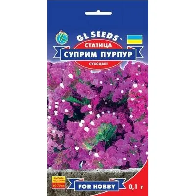 Статиця  (кермек) Супрім Пурпур 0,1 г 99462 GL SEEDS