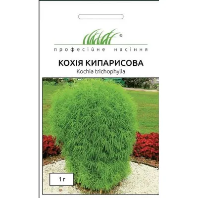 Проф насіння Кохія кипарисова 1г 11084