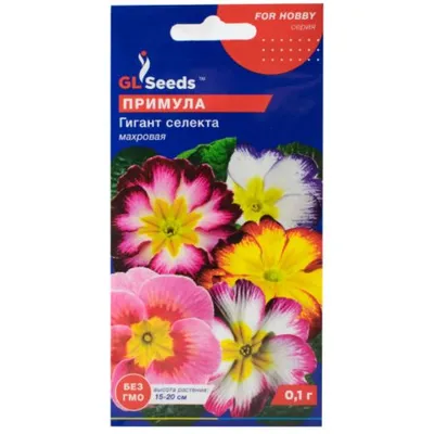 Примула Гігант селекта 0,1 г 3439 GL SEEDS