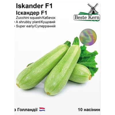 Кабачок Iskander F1 5 шт 10217 Beste Kern