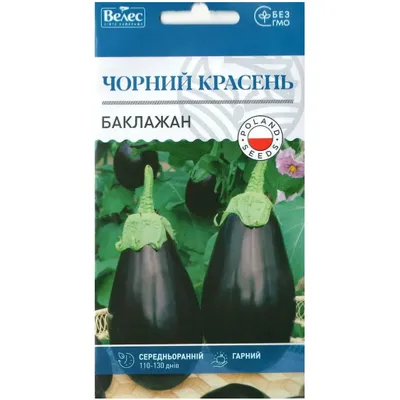 Баклажан Чорний красень  0,3 г 99683 Велес