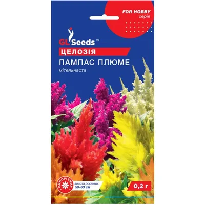 Целозія Пампас Плюме 0,2 г 5249 GL SEEDS