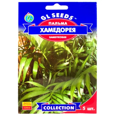 Пальма Хамедорея бамбукова 5шт 95240 GL SEEDS