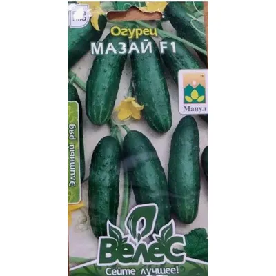 Огірок Мазай  F1  10шт 38820 Велес