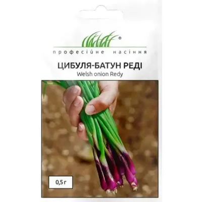 Проф насіння Цибуля-Батун Реді 0,5г 7120