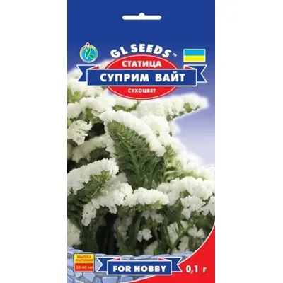 Статиця  (кермек) Супрім Вайт 0,1 г 99464 GL SEEDS