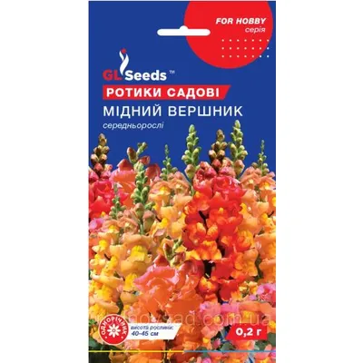 Ротики Мідний вершник 0,2 г 42586 GL SEEDS