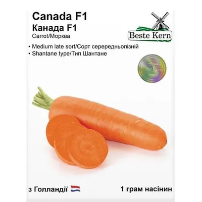 Морква Kanada  F1 1 г 20330 Beste Kern