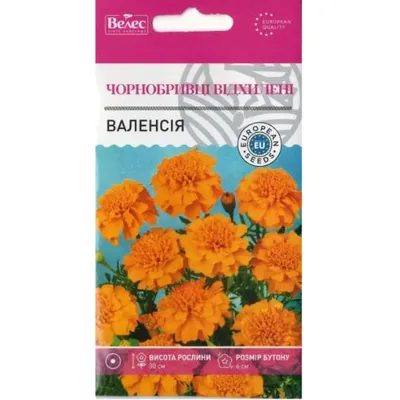 Чорнобривці відхилені  Валенсія  0,5 г 95126 Велес