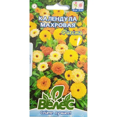 Календула махрова  Фієста 0,5 г 99532 Велес