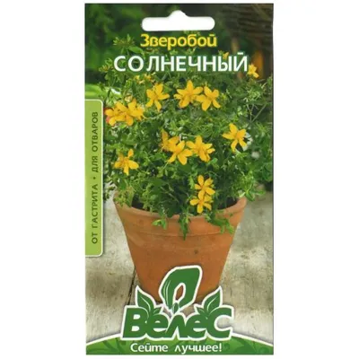 Звіробій Сонячний 0,2г 100336 Велес