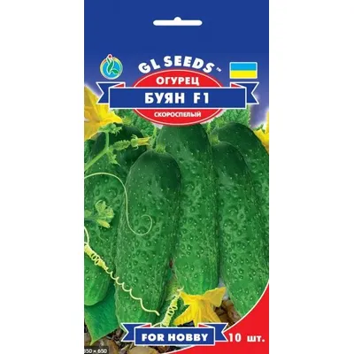 Огірок Буян  F1  10шт 5213 GL SEEDS