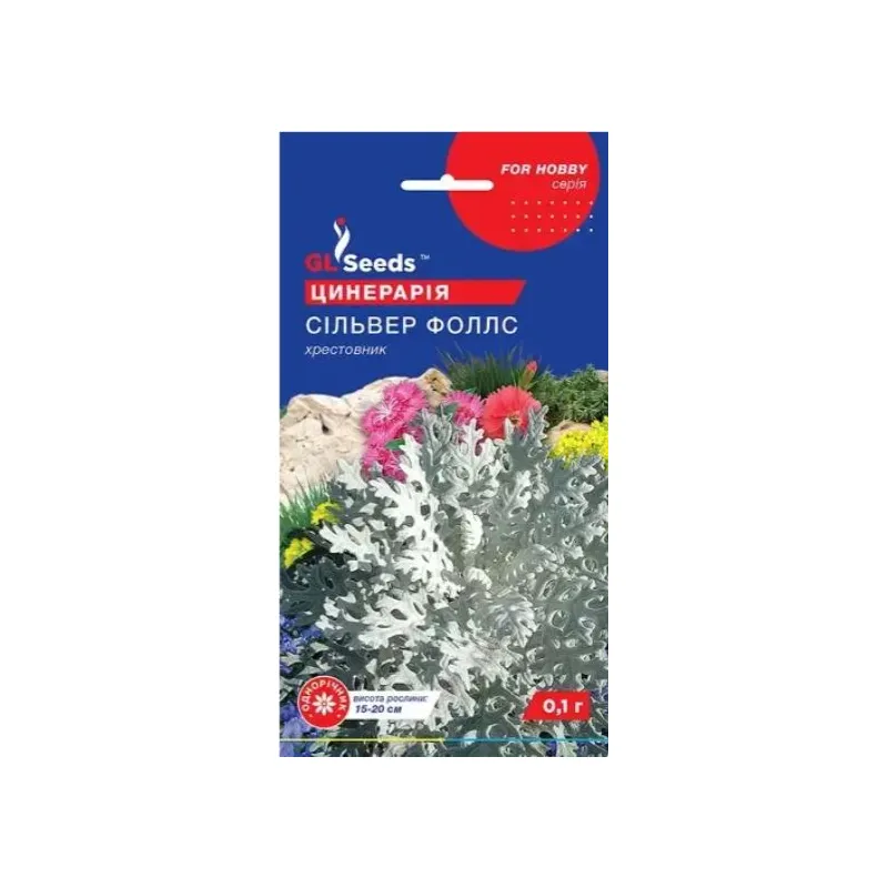 Цинерарія Сільвер Фоллс 0,1  гр 99637 GL SEEDS 