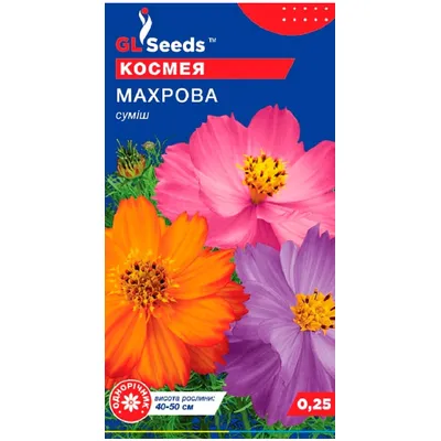 Космея Махрова 0,25 г 14240 GL SEEDS