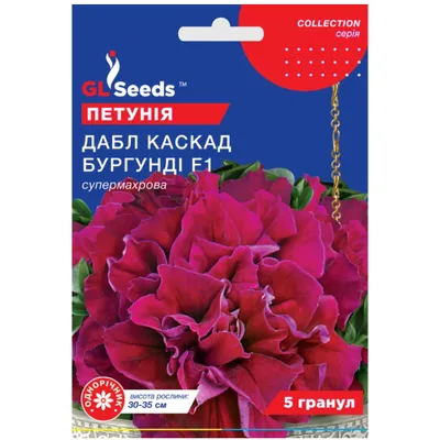Петунія Дабл Каскад Бургунді  F1 5 шт 28477 GL SEEDS
