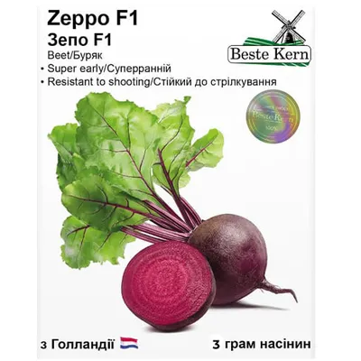Буряк Zeppo   F1 3 г 20333 Beste Kern