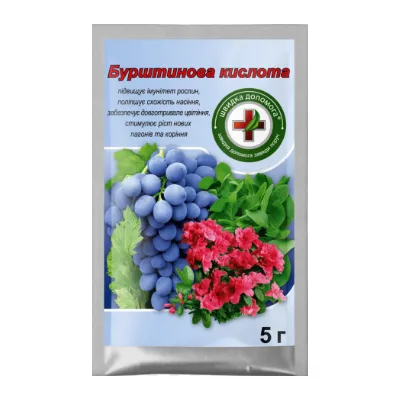 Бурштинова кислота 5 г 000263