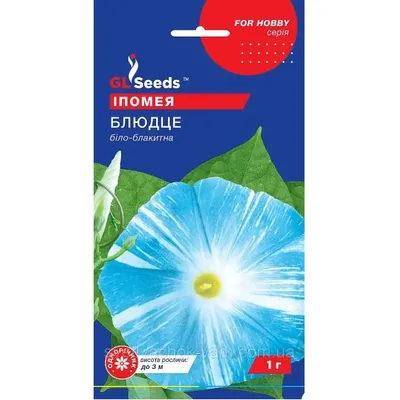 Іпомея Блюдце 1 г 3359 GL SEEDS