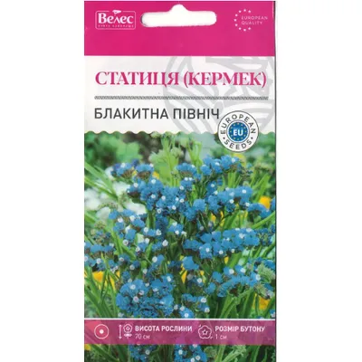 Статиця  (кермек) Блакитна північ  0,2 г 95248 Велес
