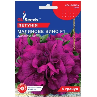 Петунія  Малинове  вино   F1 5 гранул 5672 GL SEEDS