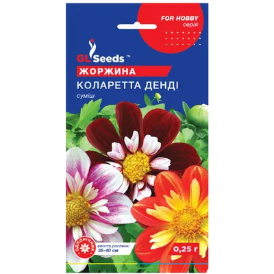 Жоржина Коларетта Денді 0,25 г 5133 GL SEEDS