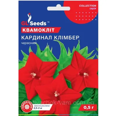 Квамокліт Кардинал Клімбер червоний 0,5 гр 95187 GL SEEDS