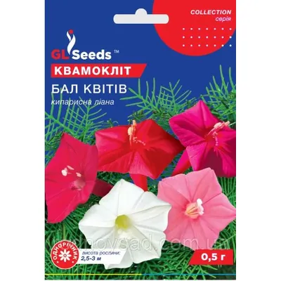 Квамокліт Бал квітів  кіпарисна  ліана 0,5 г 95188 GL SEEDS