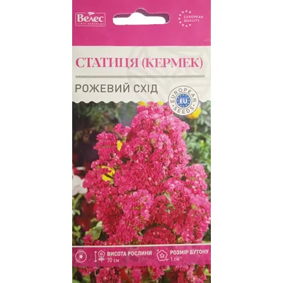 Статиця  Рожевий схід  0,2 г 99537 Велес