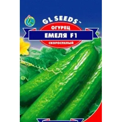 Огірок Ємеля  F1  10 шт 5217 GL SEEDS