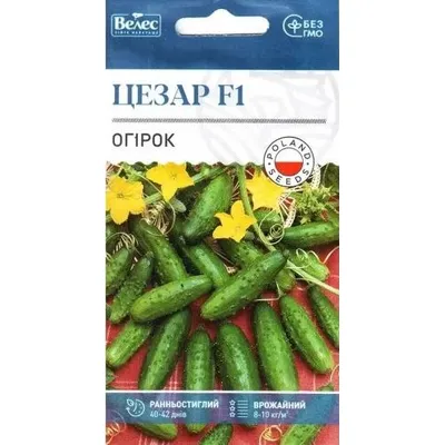 Огірок Цезар  F1  0,5г 100251 Велес