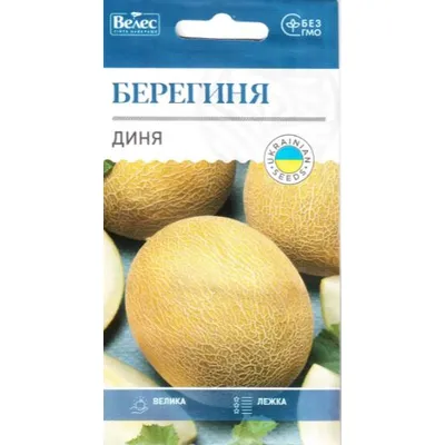 Диня Берегиня 1  г 100224 Велес