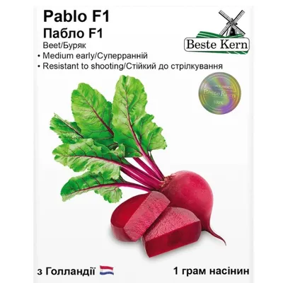 Буряк Pablo   F1 3 г 20334 Beste Kern