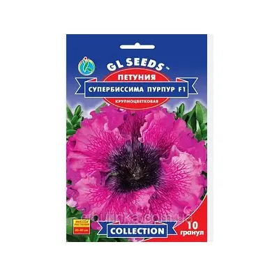 Петунія  Супербіссіма Бордо  F1 10 гранул 95270 GL SEEDS