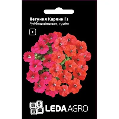 Петунія Карлик  F1 дрібноквіткова суміш 10 шт LEDAAGRO 99592