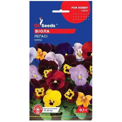 Віола Легасі 0,1 г дворічна 10941 GL SEEDS