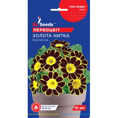 Примула Золота  нитка  багаторічна  10 шт 99545 GL SEEDS