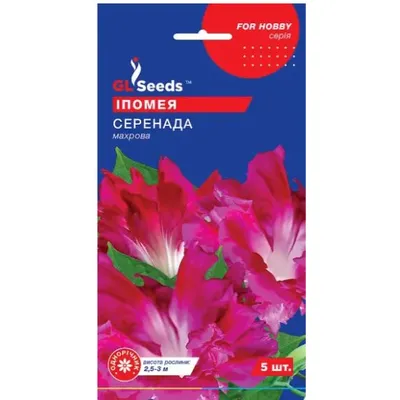 Іпомея Серенада 5 шт 15600 GL SEEDS