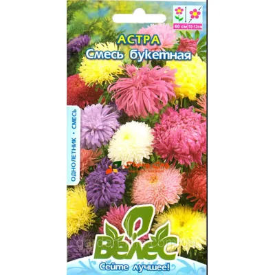 Айстра суміш  букетна  0,3 г 1343 Велес