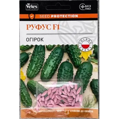 Огірок Руфус F1  50 шт інкруст. 99709 Велес