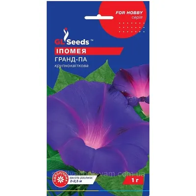 Іпомея Гранд - Па   1гр 95182 GL SEEDS