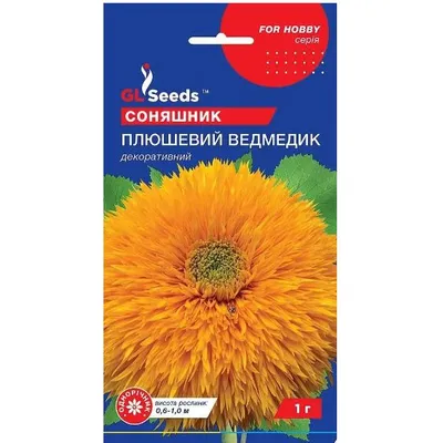 Соняшник Плюшевий ведмедик 1 г 44601 GL SEEDS